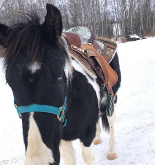 Meet your Posher, Teneah - Picture 1 of 1